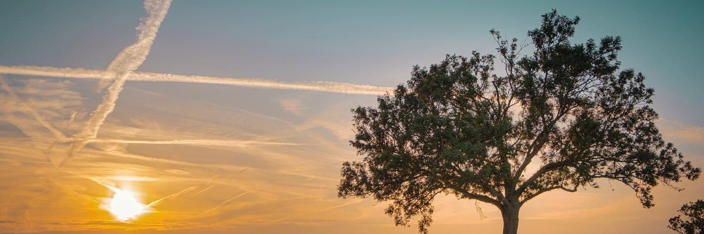 KoenPutzeys's profile banner image