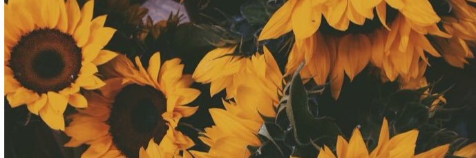 DaniJohnson34's profile banner image
