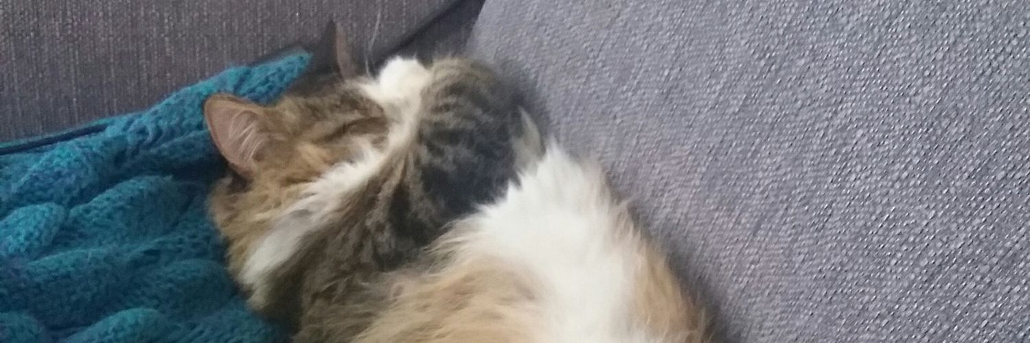 TheZoobinator's profile banner image
