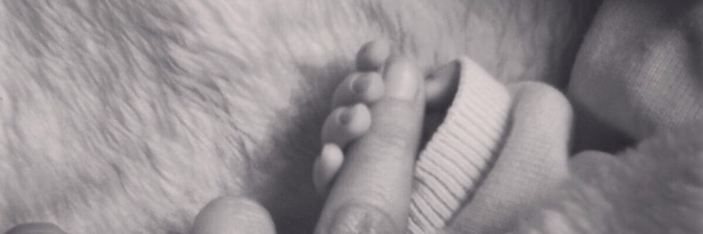 arancha#12 banner