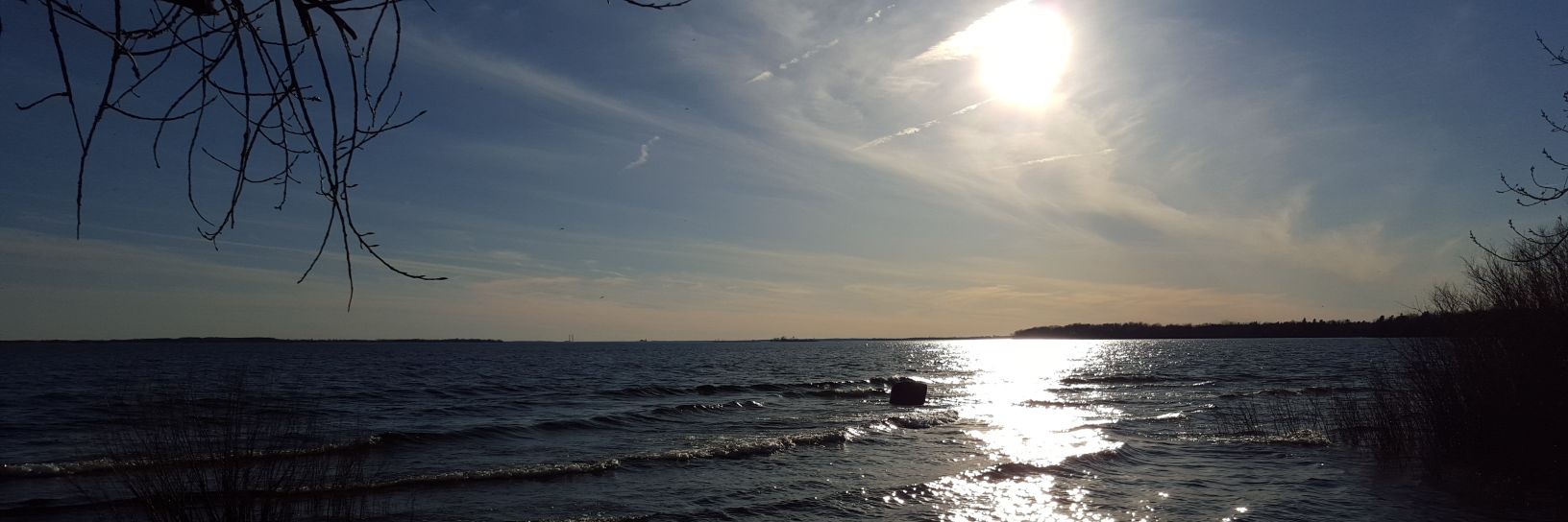 Amanda Hulton banner