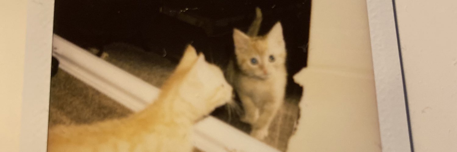 Nicknack989's profile banner image