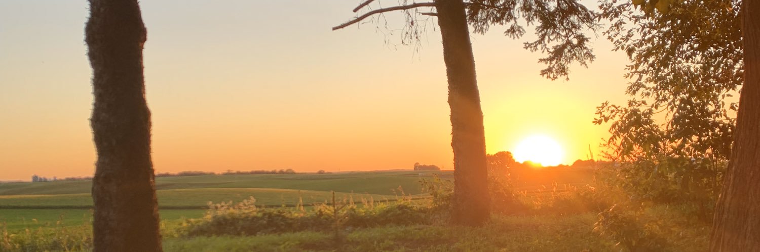 TimmyTimmerz's profile banner image