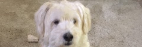 jshea794's profile banner image