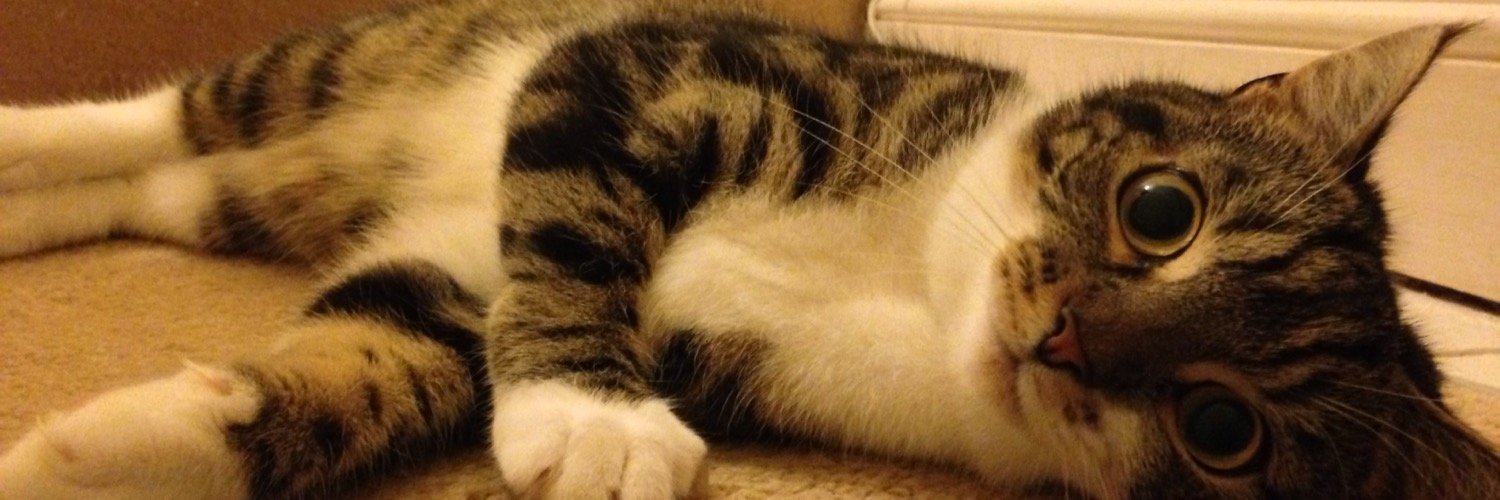 Charlie Stansfield banner