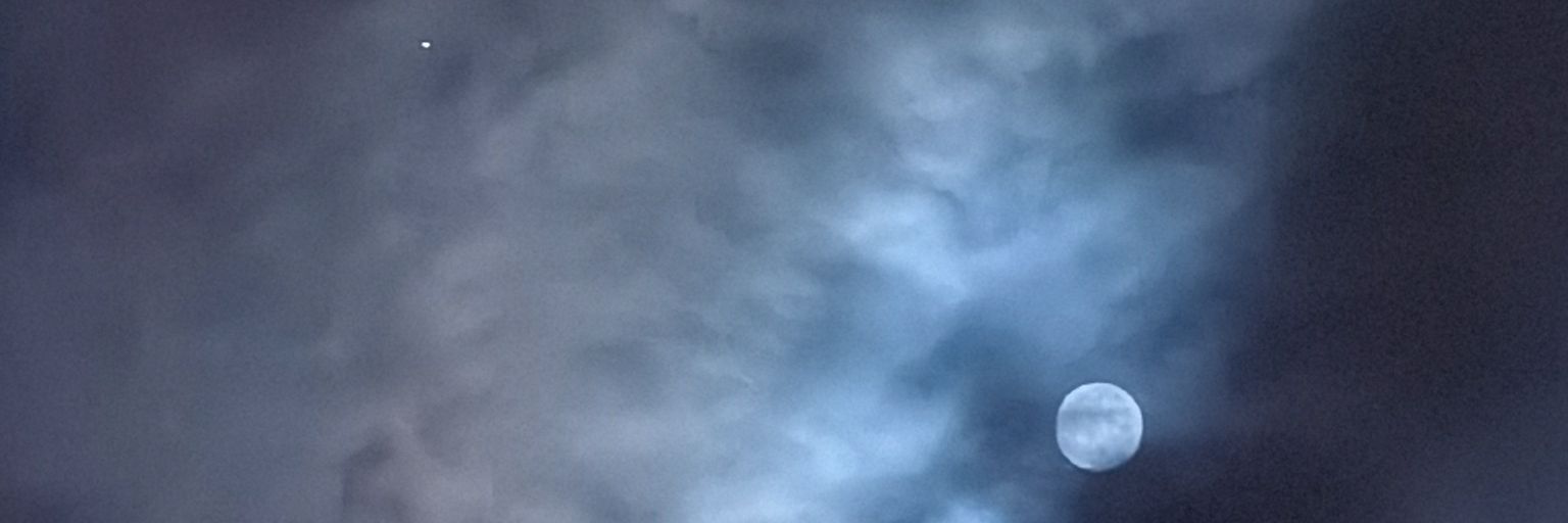 leniadepirul's profile banner image