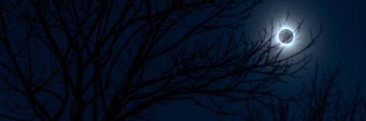 ladyreaderstuff's profile banner image