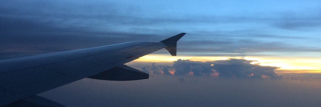 chichina_87's profile banner image