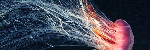 aeosinski's profile banner image
