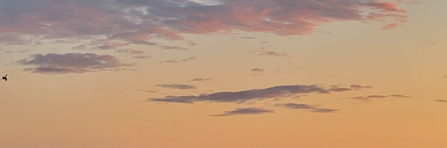 EvaKenyon's profile banner image