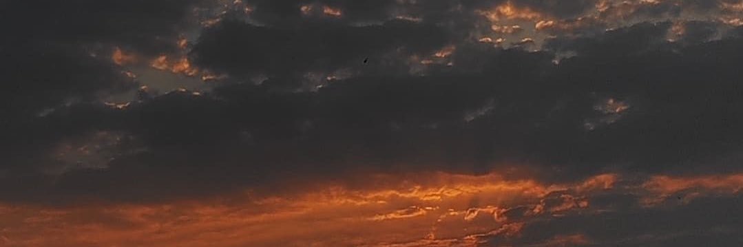 fernandamariab's profile banner image