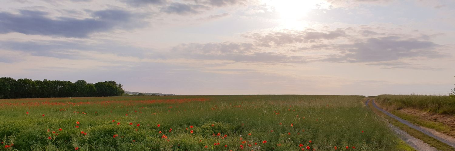 ShaunColdicutt's profile banner image