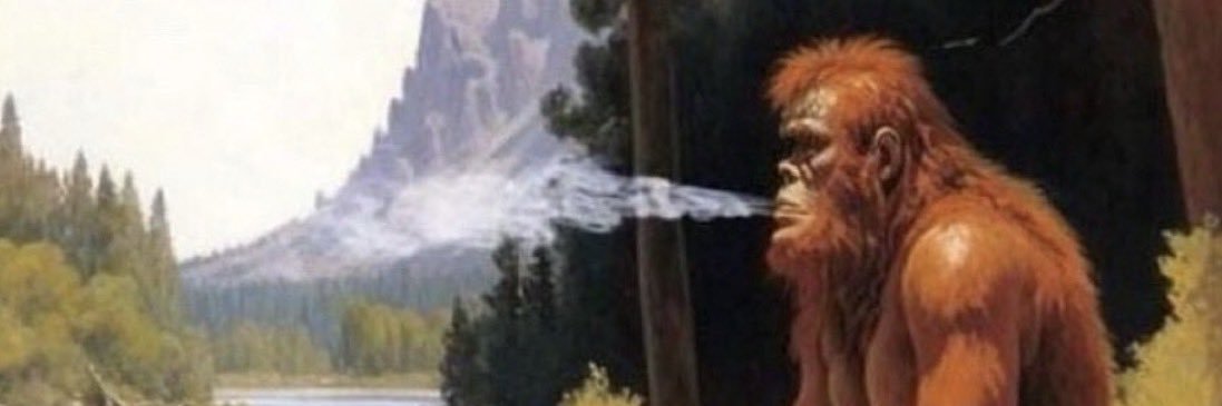 808slack's profile banner image