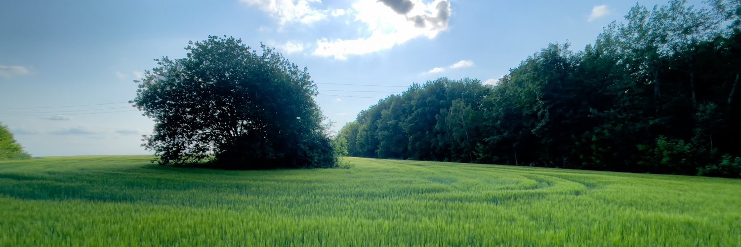 tarzanych's profile banner image