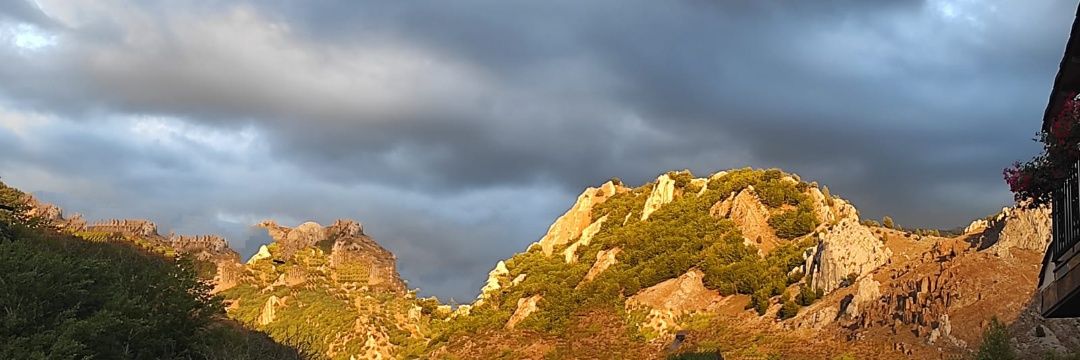 Luján Fernández banner