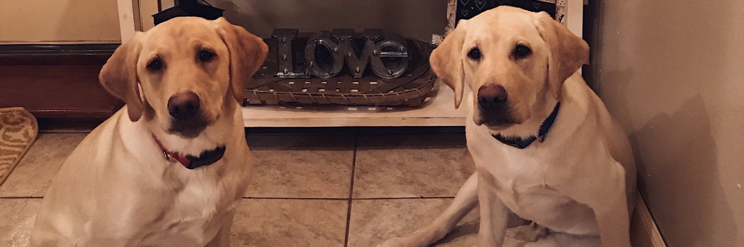 BBayles22's profile banner image