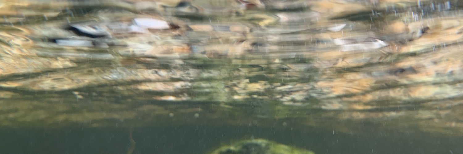 RayTunstill's profile banner image