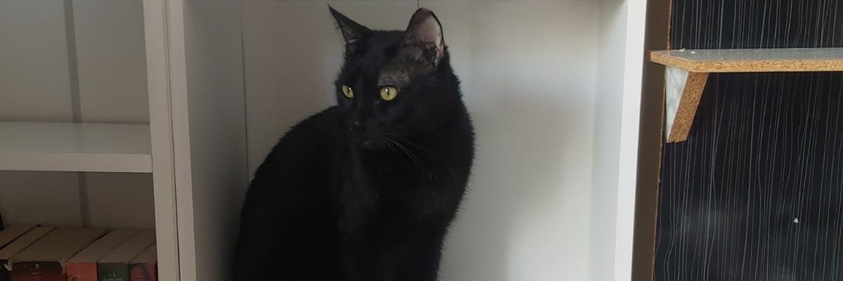 ilkkaratas's profile banner image