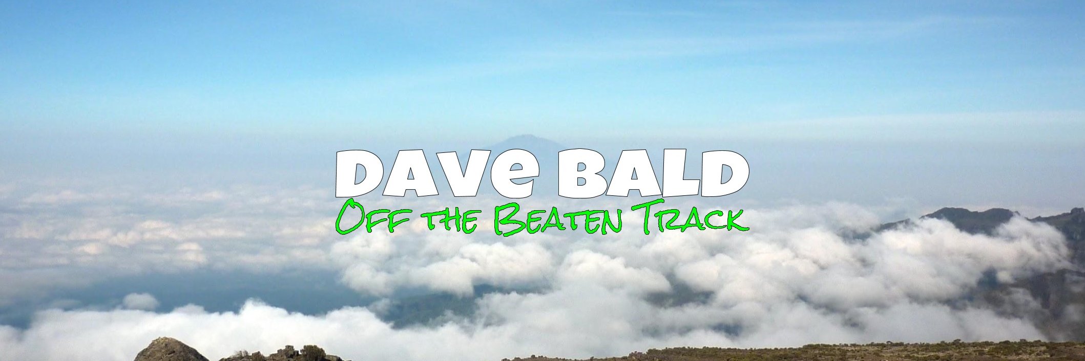 Dave Bald banner
