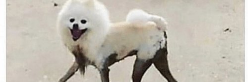 Stacienb's profile banner image
