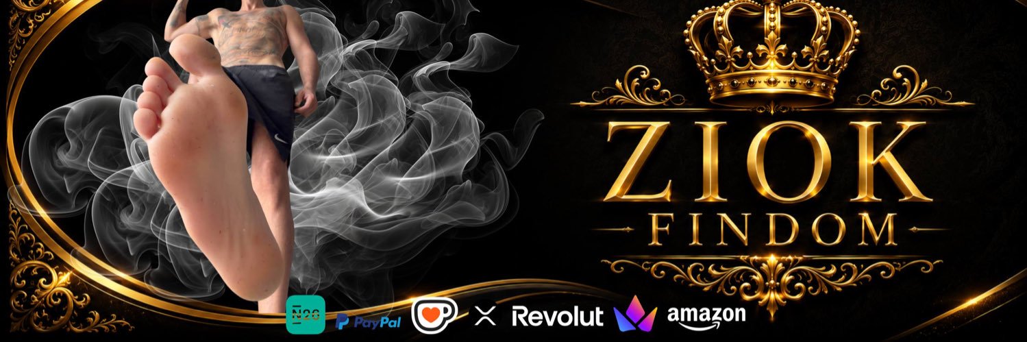 ziokfinDom banner