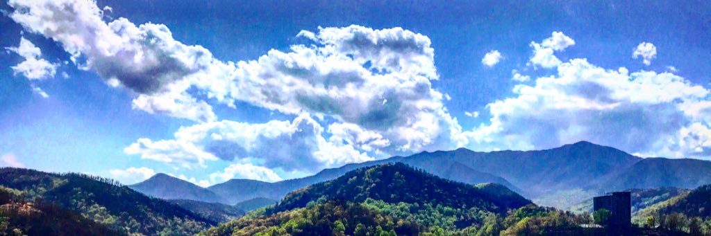 _shmamber's profile banner image