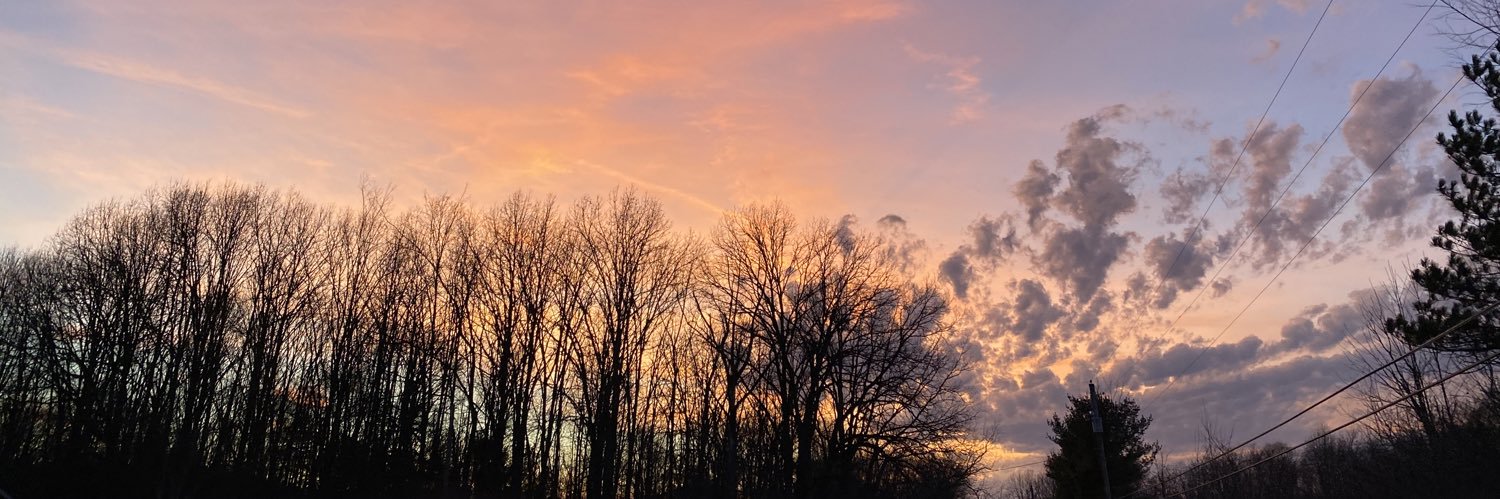 leahmaxey's profile banner image