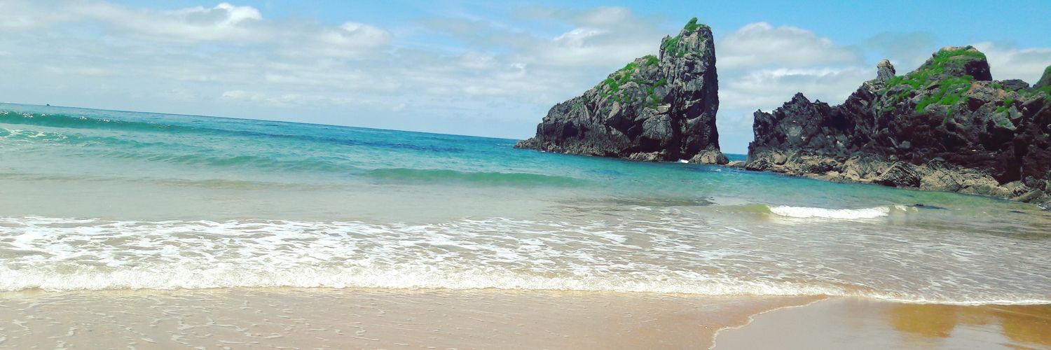 loopylisa_'s profile banner image