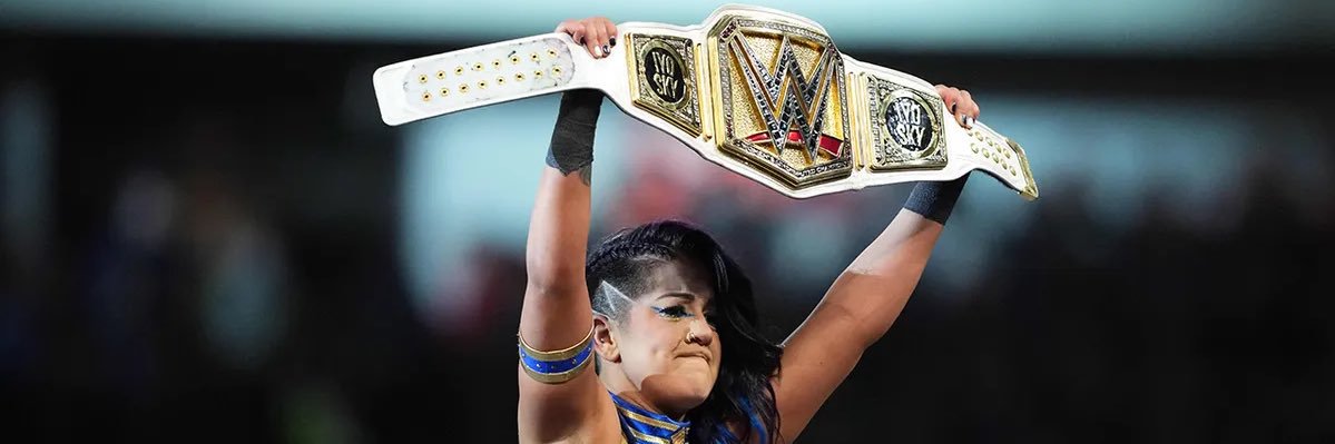 Tennessee Revolver banner