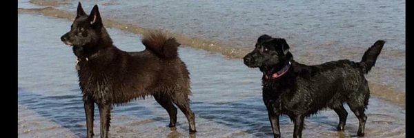 Sam2Crocker Profile Banner