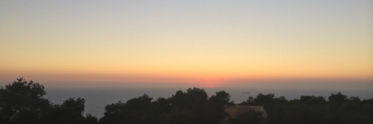 anna carlucci banner