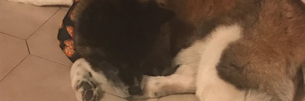 youngjayydeee's profile banner image