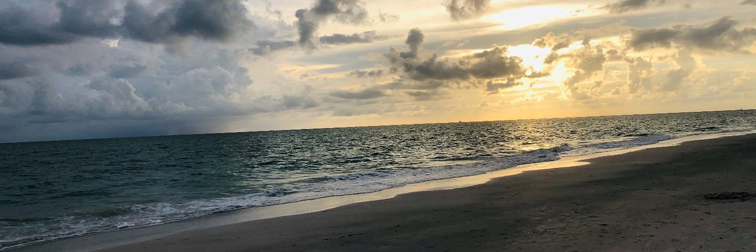 Rachel Finley-Bowman banner