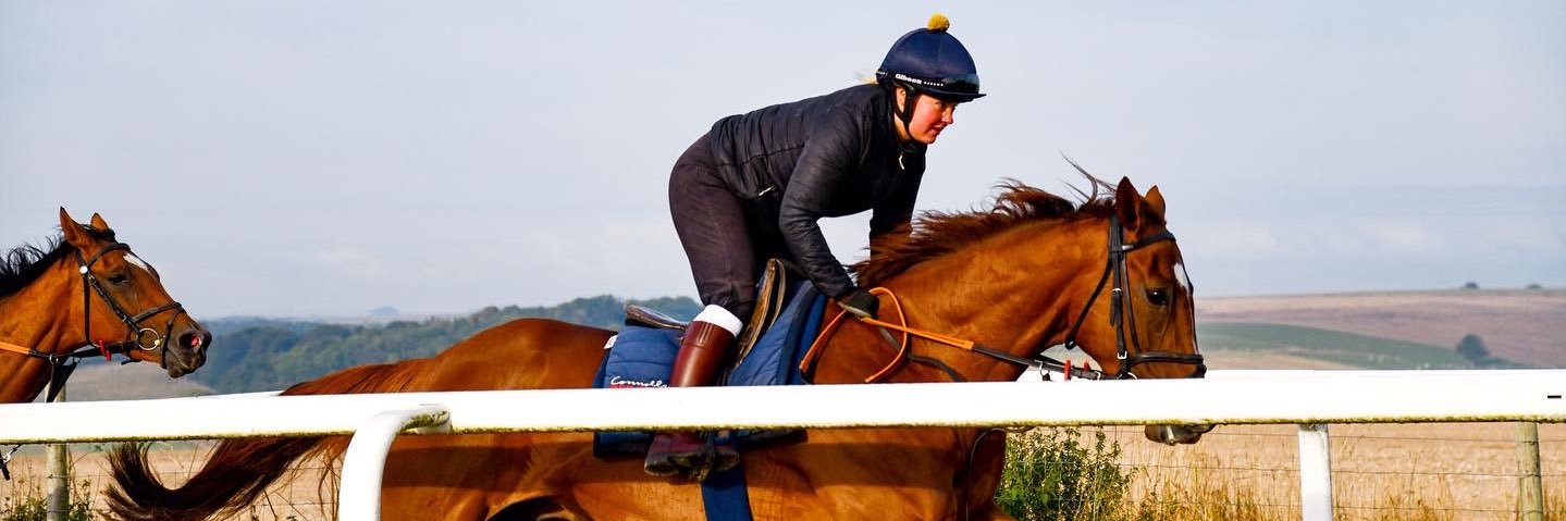 sommarlund's profile banner image