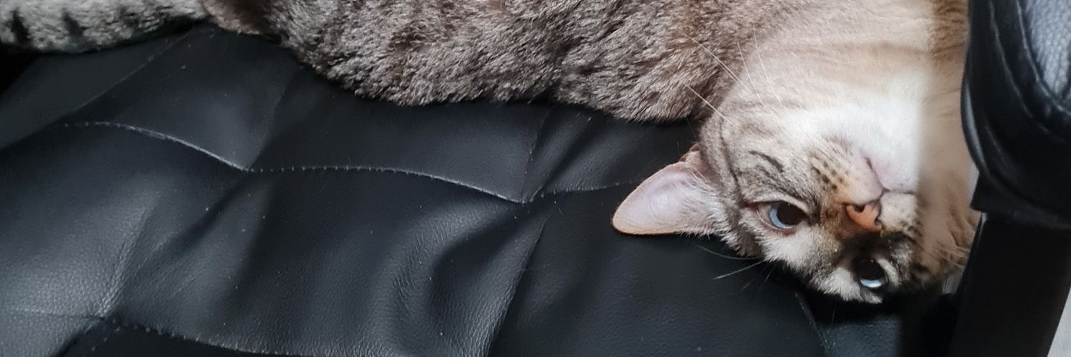 butcraft127's profile banner image