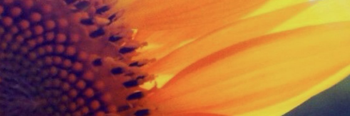 alannahhowell's profile banner image