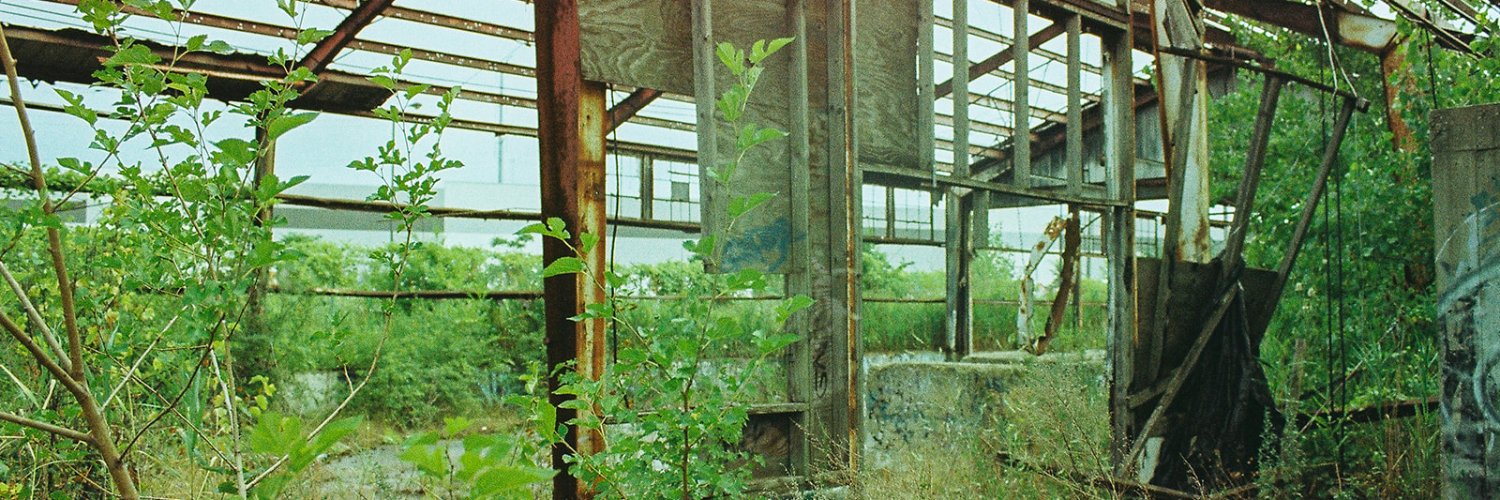 Reed McConnell banner