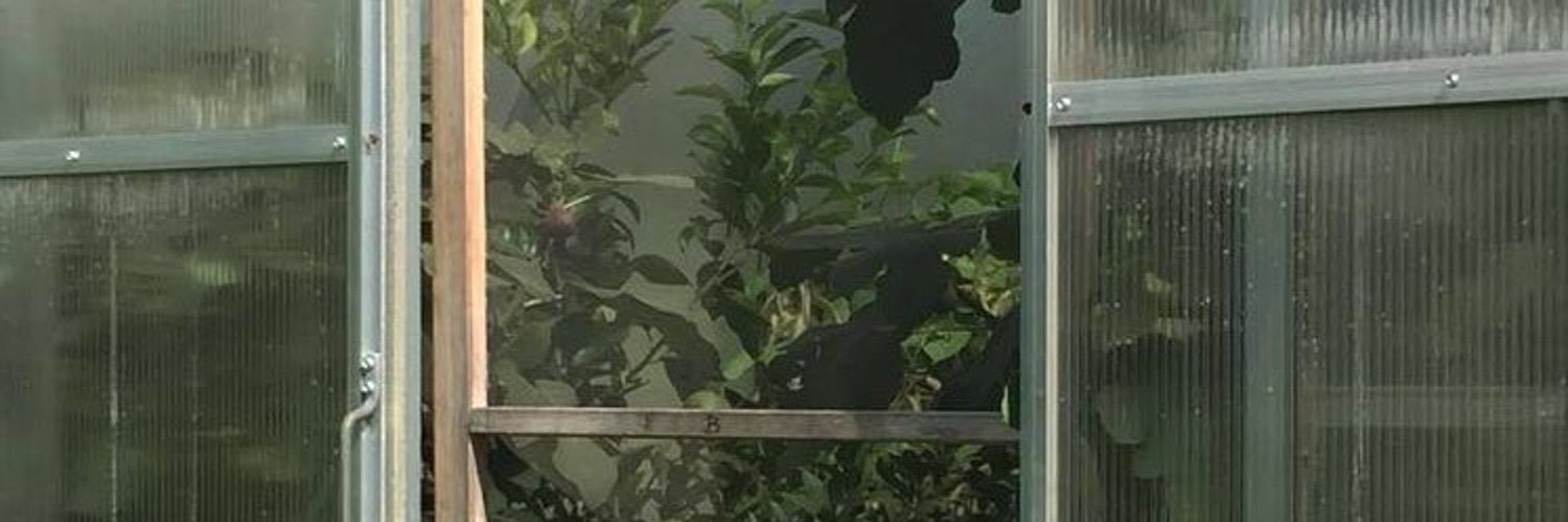 Qchim__x's profile banner image