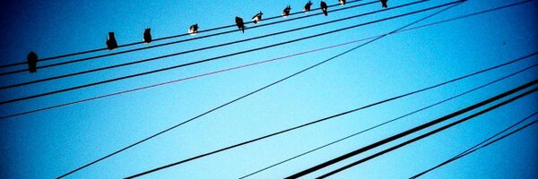 poohlaga Profile Banner