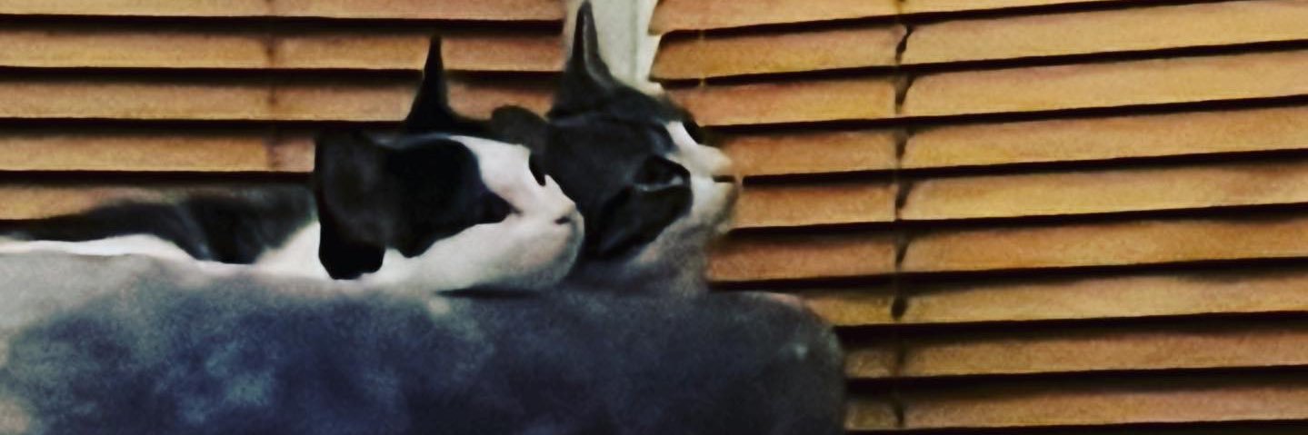 RorySlater1's profile banner image