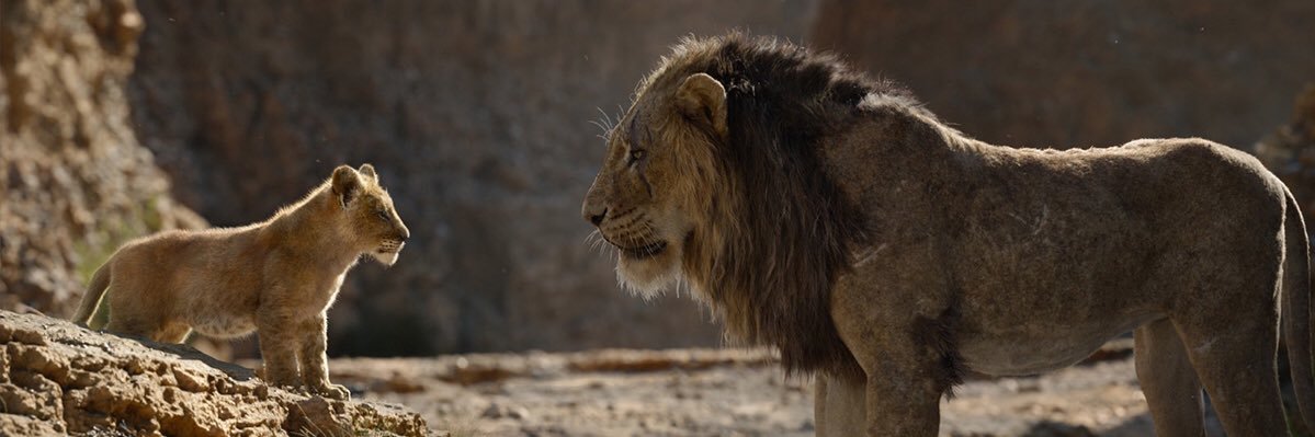 leoctout's profile banner image