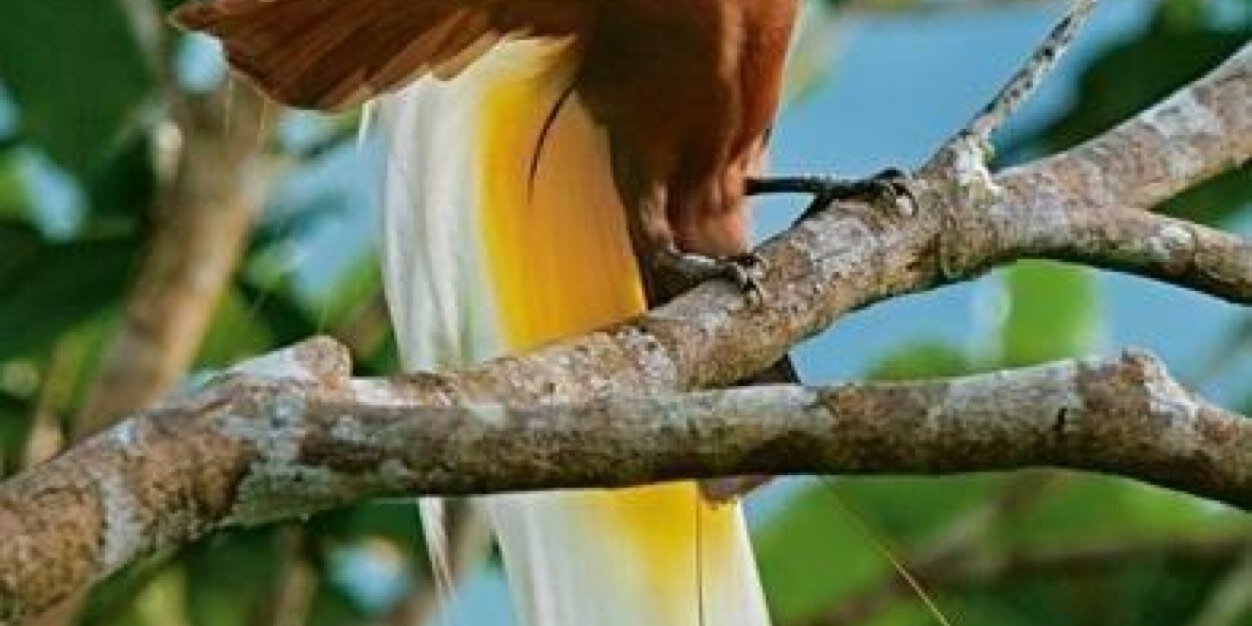 hassanj4's profile banner image