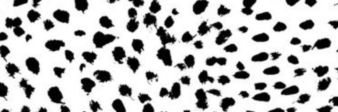 DontKinard2hard's profile banner image