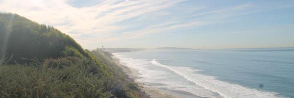 whittenz Profile Banner