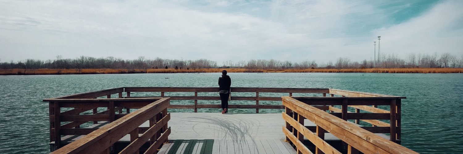 aliarosewrites's profile banner image