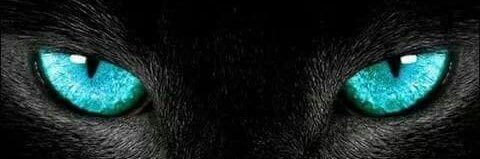 asilbirbey's profile banner image
