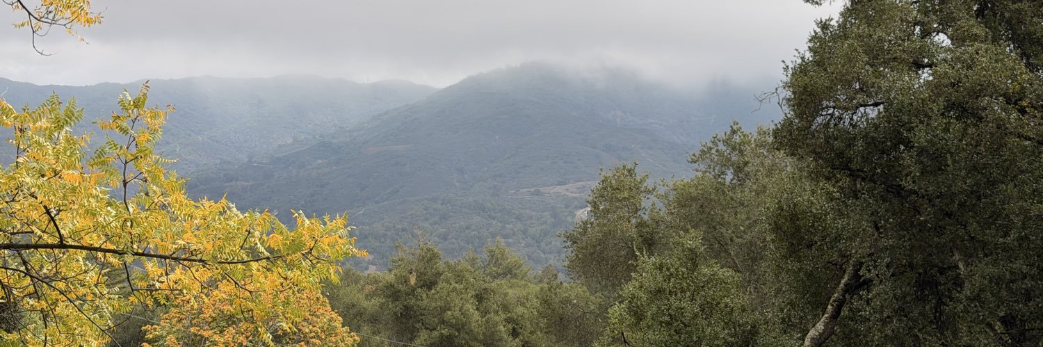 Kay Deshpande  banner