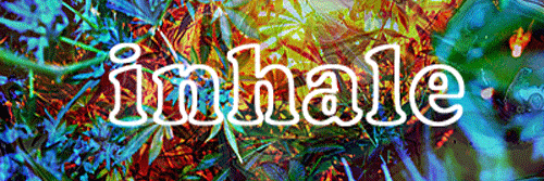 NarcoticTonic's profile banner image