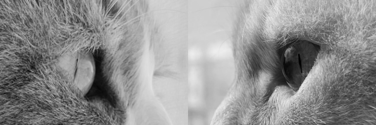 1rnad's profile banner image