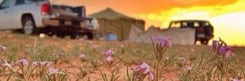 MuA_vision's profile banner image
